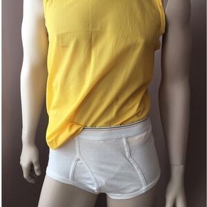 FRUIT of the Loom Briefs Gold Blue Band Tighty Whities Vintage Lot 3 PR Vintage